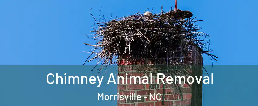 Chimney Animal Removal Morrisville - NC