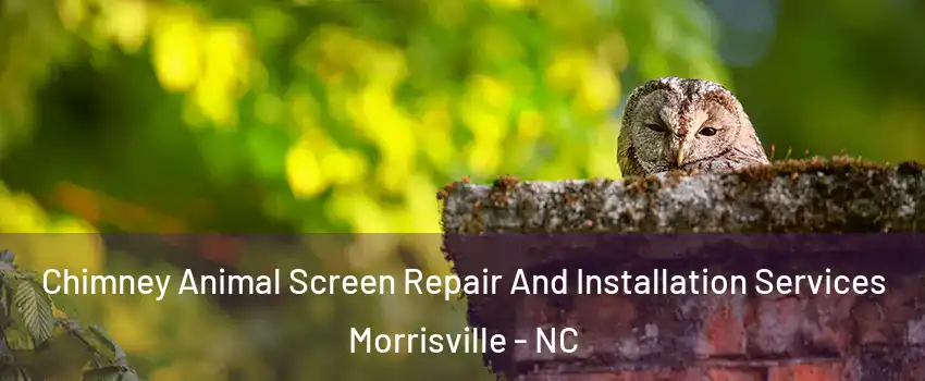  Chimney Animal Screen Repair And Installation Services Morrisville - NC