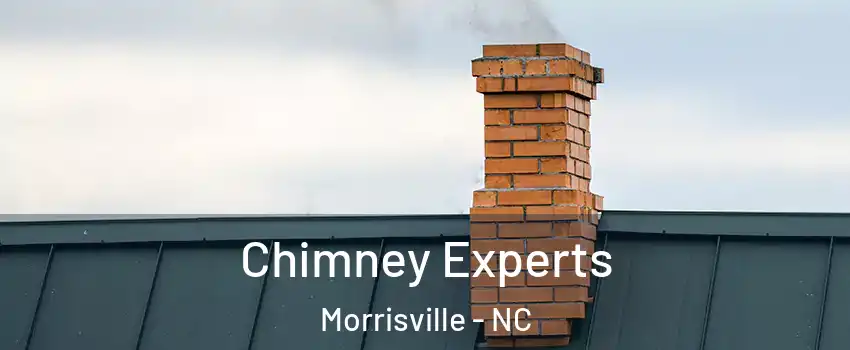 Chimney Experts Morrisville - NC