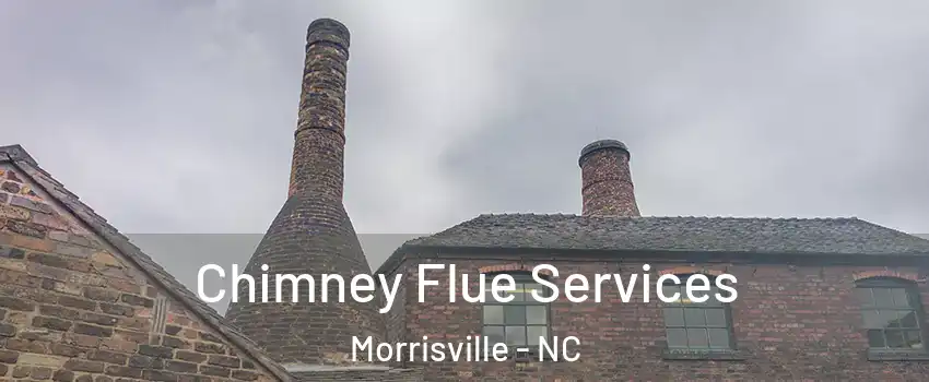  Chimney Flue Services Morrisville - NC