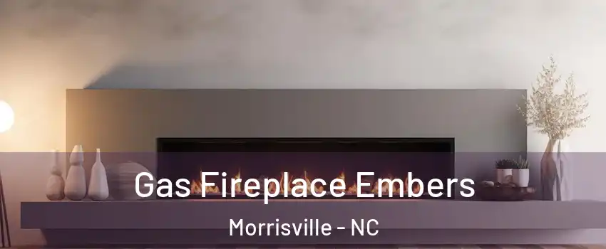  Gas Fireplace Embers Morrisville - NC
