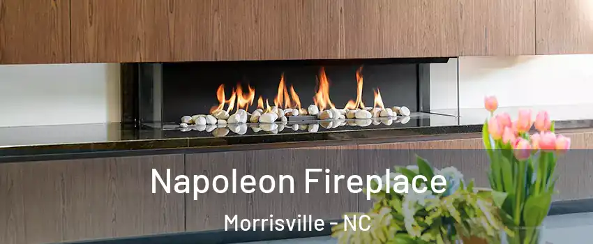  Napoleon Fireplace Morrisville - NC