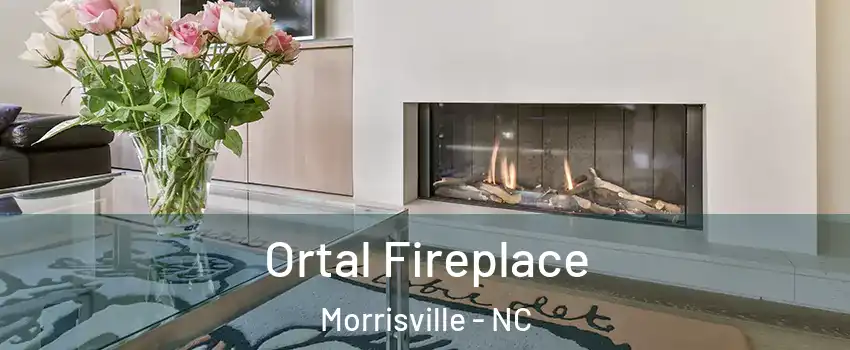 Ortal Fireplace Morrisville - NC